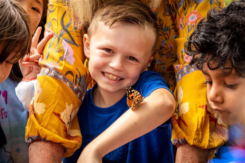 A boy smiles with a butterfly on his arm